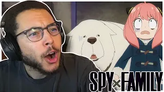 ANYA IS BACK!! Spy x Family Episode 13 Reaction!