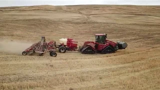 Direct Seed(no-till) Winter Wheat