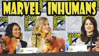 Marvel Inhumans Panel at San Diego Comic Con 2017