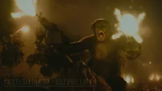 Dawn Of The Planet Of The Apes |2014| Fight/Battle Scenes [Edited]