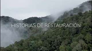 Proyecto de Restauración Ecológica en la Región Andina