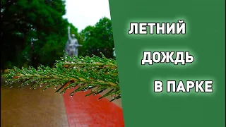 Летний дождь в парке музея КП Центрального фронта