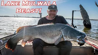 Lake Mulwala 128cm BEAST Murray Cod!