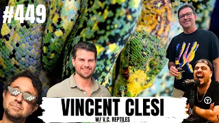 How Vince feels about his Green Tree Python pairings in 2024 | All In The Tree Tuesday's