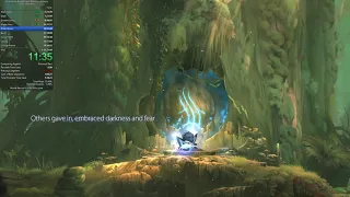 Ori and the Blind Forest: Definitive Edition - 100% NR Speedrun in 1:05:40 (World Record)