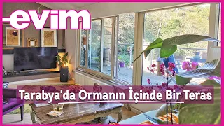 Tarabya'da Ormanın İçinde Ömre Ömür Katan Bir Teras Dairesi