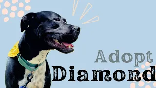 Diamond is a gem!