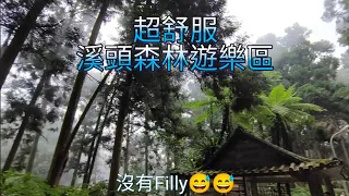 超舒服 溪頭森林遊樂區 (小記錄)