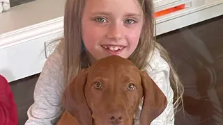 Owning Our Vizsla, Vizsla puppy