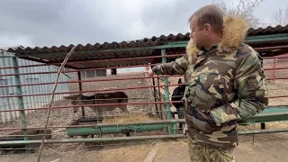 Олег Зубков в Донбассе! Мы в ужасе от того, что рассказывает директор ЗооПарка!