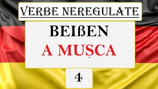 Invata Germana | VERBE NEREGULATE 4 | Beißen - A musca