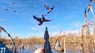 30 MINUTE Mallard LIMIT! (All Drakes) | Decoying DUCKS Into FIVE YARDS!