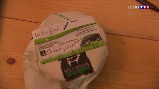 Un nouveau fromage né d'un heureux hasard durant le confinement