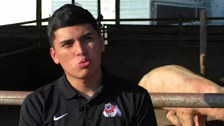 Hugo Rodriguez, Fresno State Swine Unit Student Manager (4/24/18)