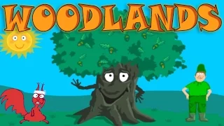 Learn About the Needs of the Tree; Woodland Wildlife - Interesting & Educational Videos for Kids