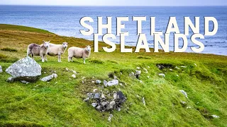 Touring the Shetland Islands: Sights & Sounds from Northern Scotland