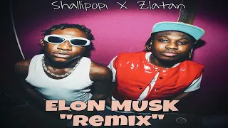 Shallipopi ft. Zlatan – Elon Musk (Remix)