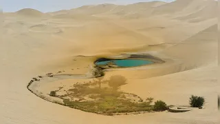 Пустыня в Китае за 60 лет превратилась в зеленый оазис