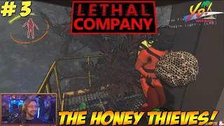 Lethal Company! DAY THREE! The Honey Thieves! Part 3 - YoVideogames