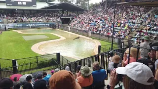 Australia Zoo Wildlife Warriors Show!