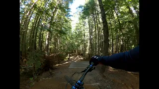 Mt. Hood Skibowl Bike Park - Freeride Trail 3