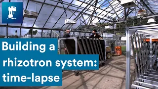 Future Food | building a rhizotron system: time-lapse