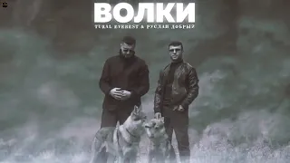 Tural Everest - Волки 🐺 Волки мы в ночных лесах