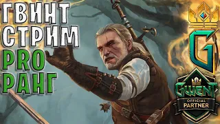 ТОП 200 ГВИНТ — GWENT | ГВИНТ