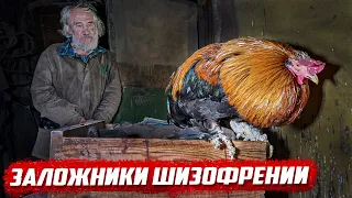 Шанса выжить нет... | Орловская обл. г. Малоархангельск