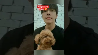 Donghae with Puppy