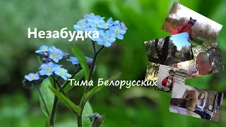 Тима Белорусских - Незабудка. Клип. Дачные Тусовки.