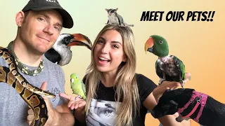 ANIMAL TOUR! Meet ALL of our PETS!  (RESCUED!)