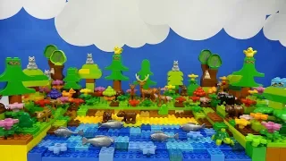 Lego Duplo forest lake. Лего Дупло лесное озеро. Строим из Lego Duplo. Lego Duplo ideas building.