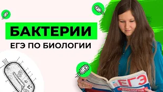 БАКТЕРИИ | ЕГЭ ПО БИОЛОГИИ