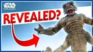 Did We All Miss This Star Wars Creature's Name - Star Wars Explained #Shorts