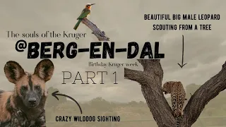 Kruger National Park - Berg-en-dal Rest Camp | Birthday Trip Part 1 ⛺️