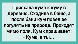 После Бани Кум Повел Куму Погулять! Сборник Свежих Смешных Жизненных Анекдотов!