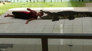 Жесть - шоу крокодилов Таиланд Пхукет / Tin - crocodile show Thailand Phuket