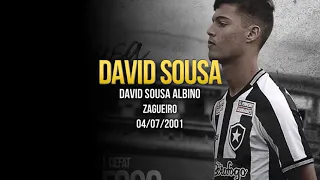David Sousa - Botafogo 2020