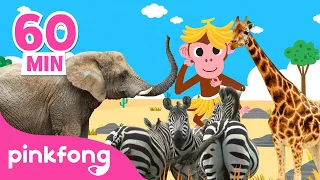 Kumpulan Lagu Binatang & Hewan | Mengenal Nama Binatang | Lagu Anak | Pinkfong dan Baby Shark