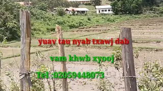 mu yuav tau nyab txawj dab 15/6/2023