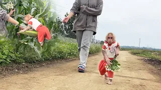 Bibi with Mom relaxing walk and harvest corn for cooking!
