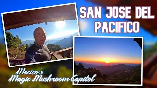 Mexico's Magic Mushroom Capital San Jose Del Pacifico