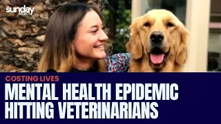 Mental Health Epidemic Hitting Veterinarians