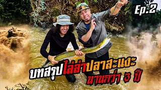 บทสรุป! ไล่ล่า ปลาสะแงะ หลังผ่านมา 3 ปี!! [หัวครัวทัวร์ริ่ง] EP.162