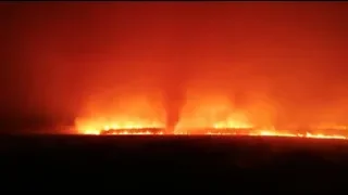 Fire Engulfs Forest Area Nearby China-Russia Border