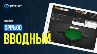 Курс по Spin&Go для начинающих. Введение