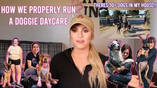 RUNNING A DOGGIE DAYCARE | meet the Katys K9s team