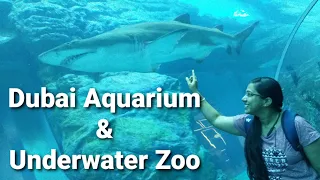 Dubai Aquarium and Underwater Zoo | Dubai Mall | World's Largest Mall | 2021