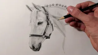 Cómo dibujar un Caballo